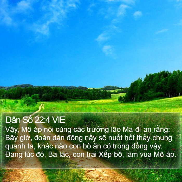 Dân Số 22:4 VIE Bible Study