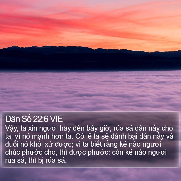 Dân Số 22:6 VIE Bible Study