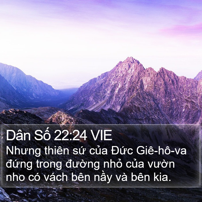 Dân Số 22:24 VIE Bible Study