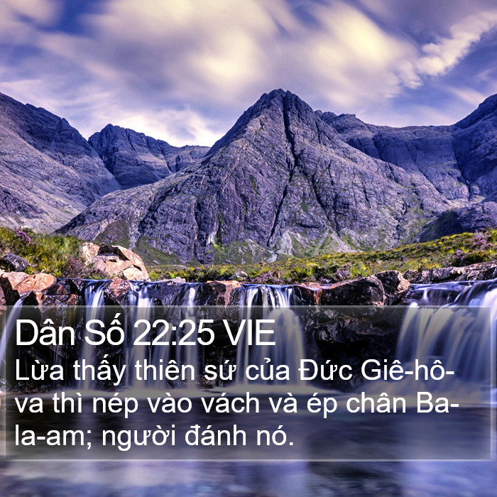 Dân Số 22:25 VIE Bible Study