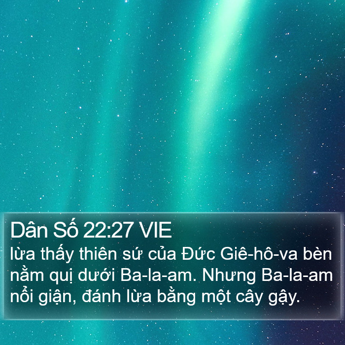 Dân Số 22:27 VIE Bible Study