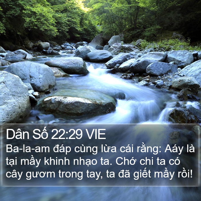 Dân Số 22:29 VIE Bible Study