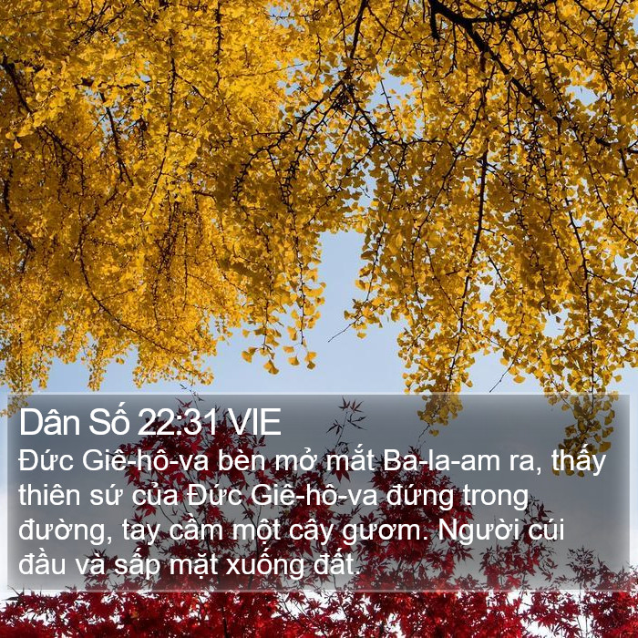 Dân Số 22:31 VIE Bible Study