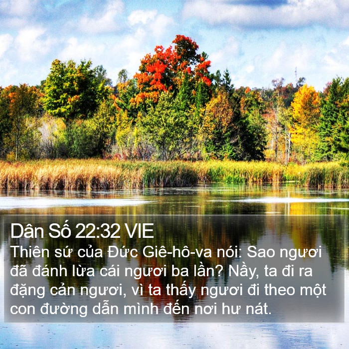 Dân Số 22:32 VIE Bible Study