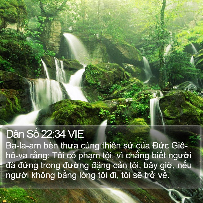 Dân Số 22:34 VIE Bible Study