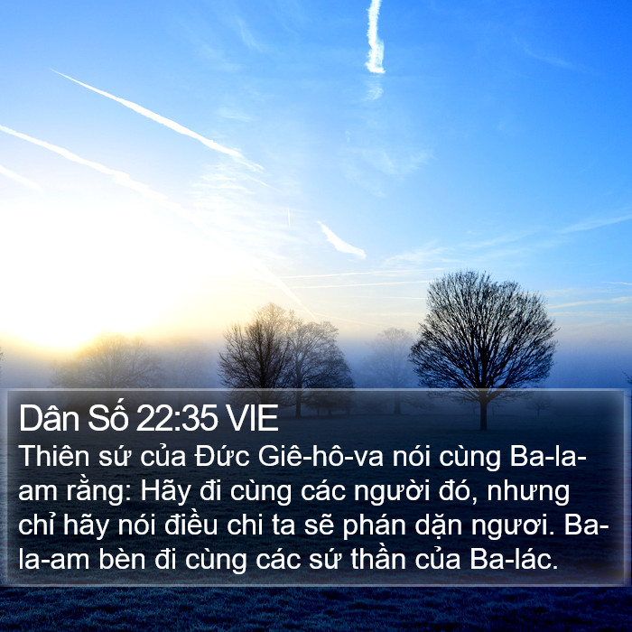 Dân Số 22:35 VIE Bible Study
