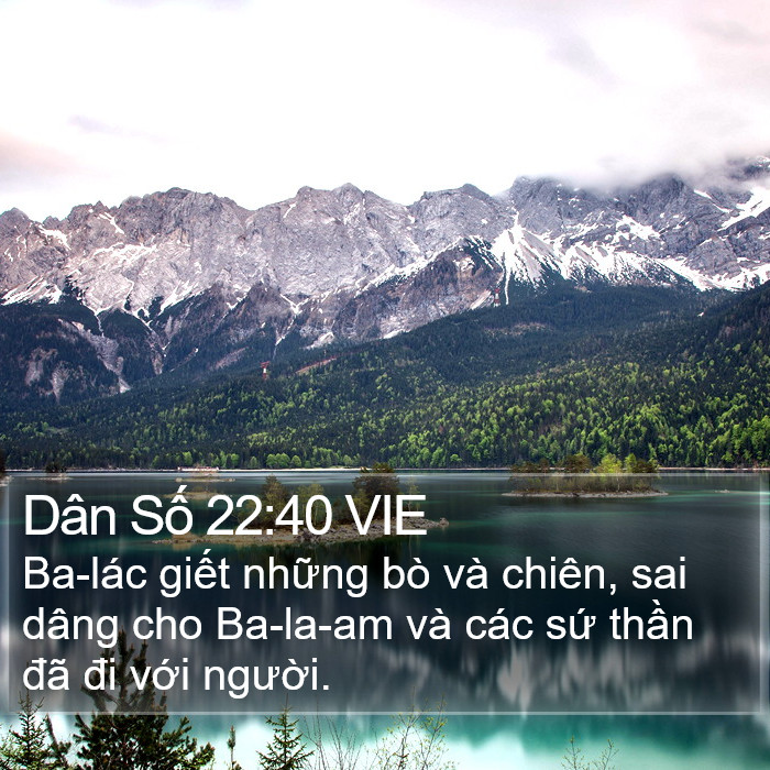 Dân Số 22:40 VIE Bible Study