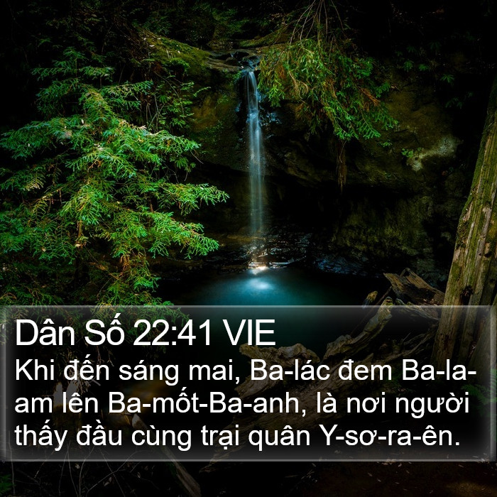 Dân Số 22:41 VIE Bible Study