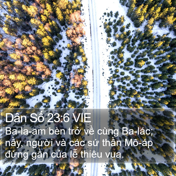 Dân Số 23:6 VIE Bible Study