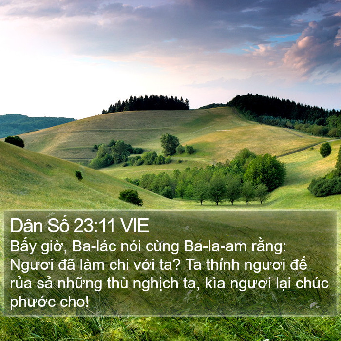 Dân Số 23:11 VIE Bible Study