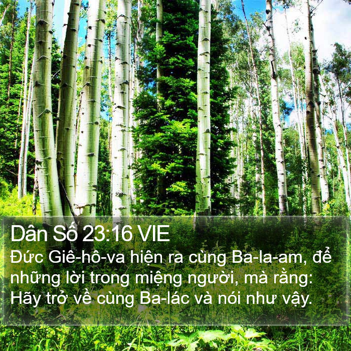 Dân Số 23:16 VIE Bible Study