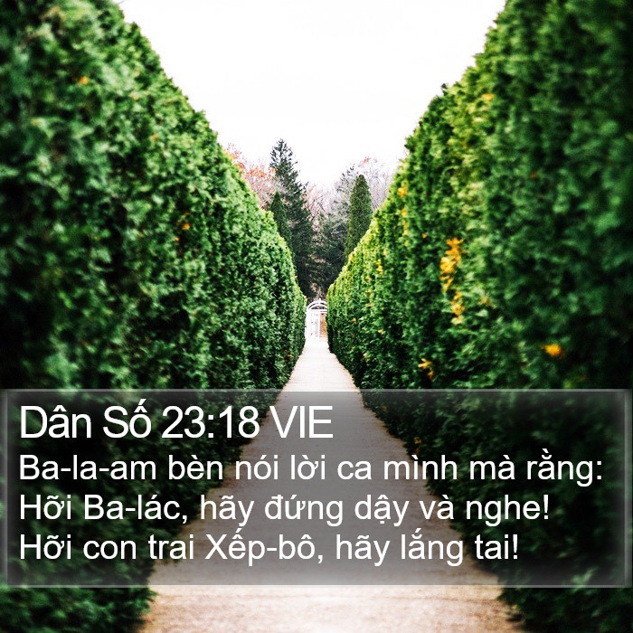 Dân Số 23:18 VIE Bible Study