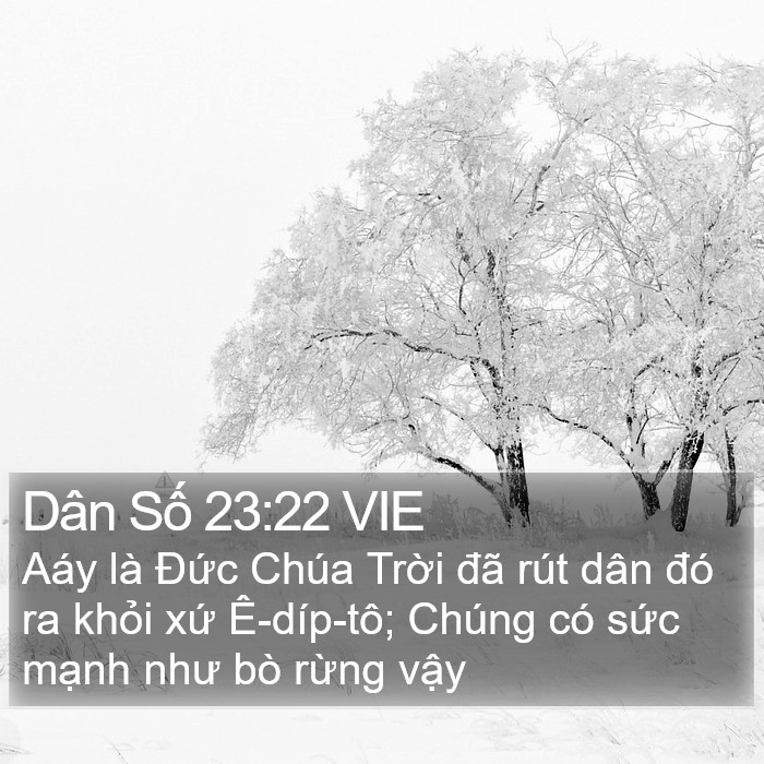 Dân Số 23:22 VIE Bible Study