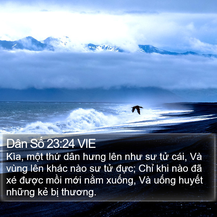 Dân Số 23:24 VIE Bible Study