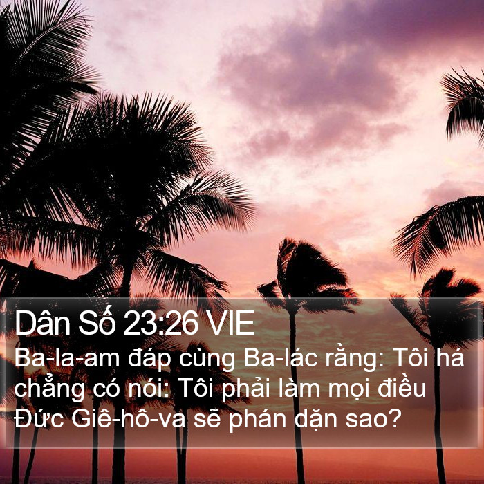 Dân Số 23:26 VIE Bible Study