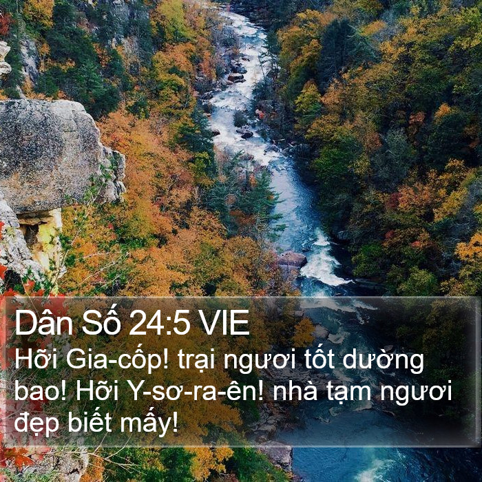 Dân Số 24:5 VIE Bible Study