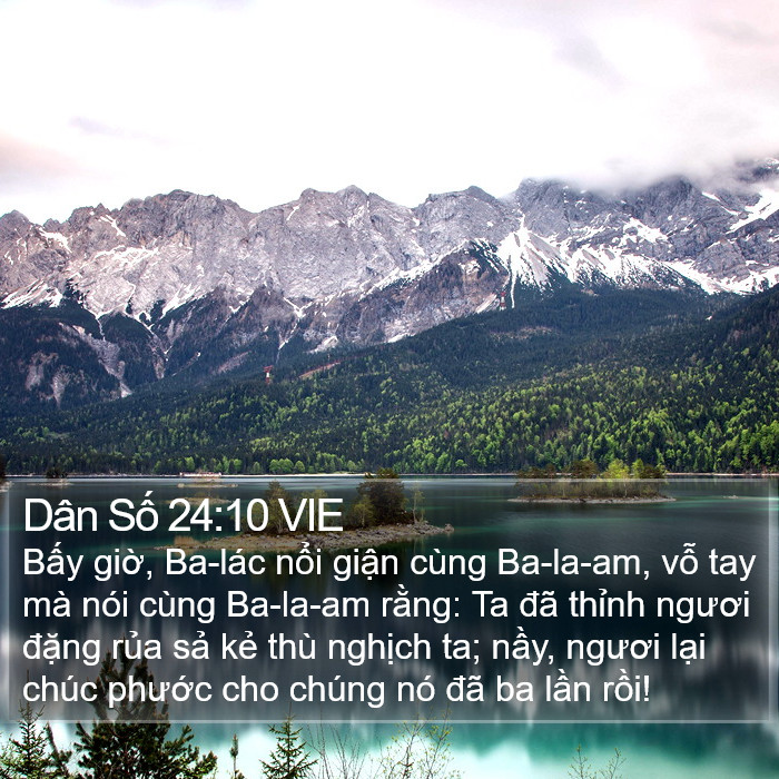 Dân Số 24:10 VIE Bible Study