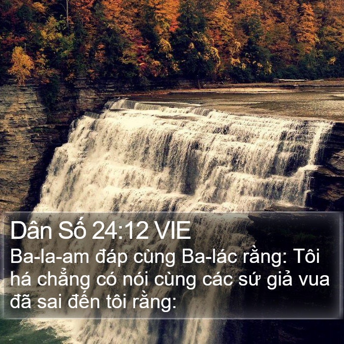 Dân Số 24:12 VIE Bible Study
