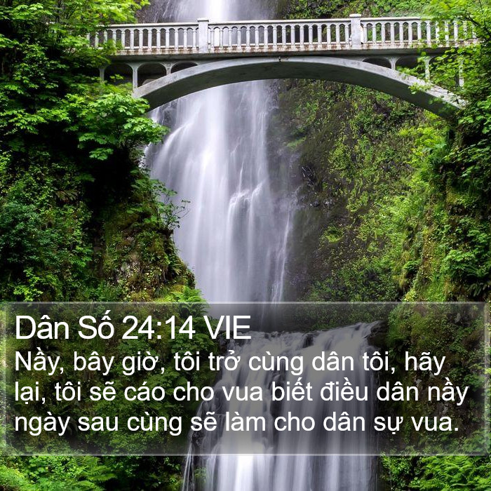 Dân Số 24:14 VIE Bible Study