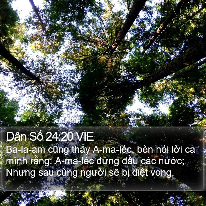 Dân Số 24:20 VIE Bible Study