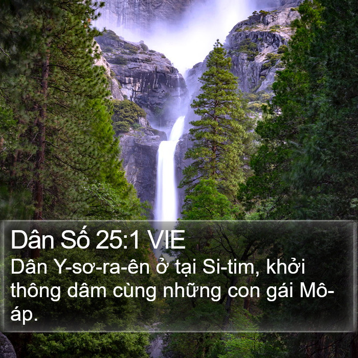 Dân Số 25:1 VIE Bible Study