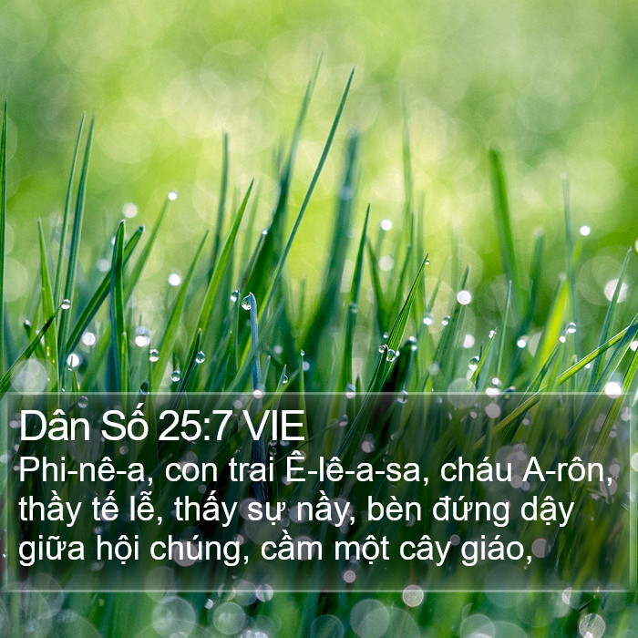 Dân Số 25:7 VIE Bible Study