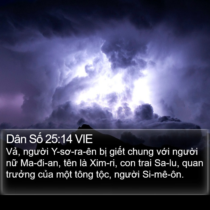 Dân Số 25:14 VIE Bible Study