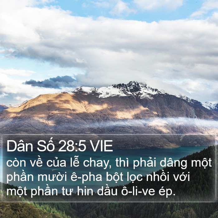 Dân Số 28:5 VIE Bible Study