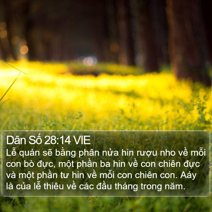 Dân Số 28:14 VIE Bible Study