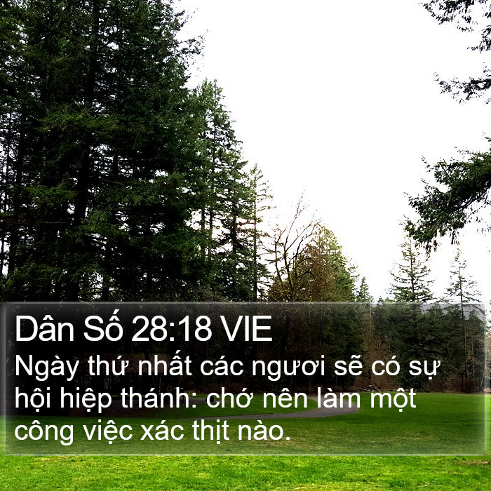 Dân Số 28:18 VIE Bible Study