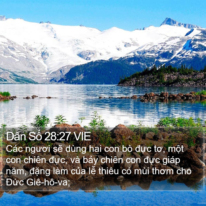 Dân Số 28:27 VIE Bible Study