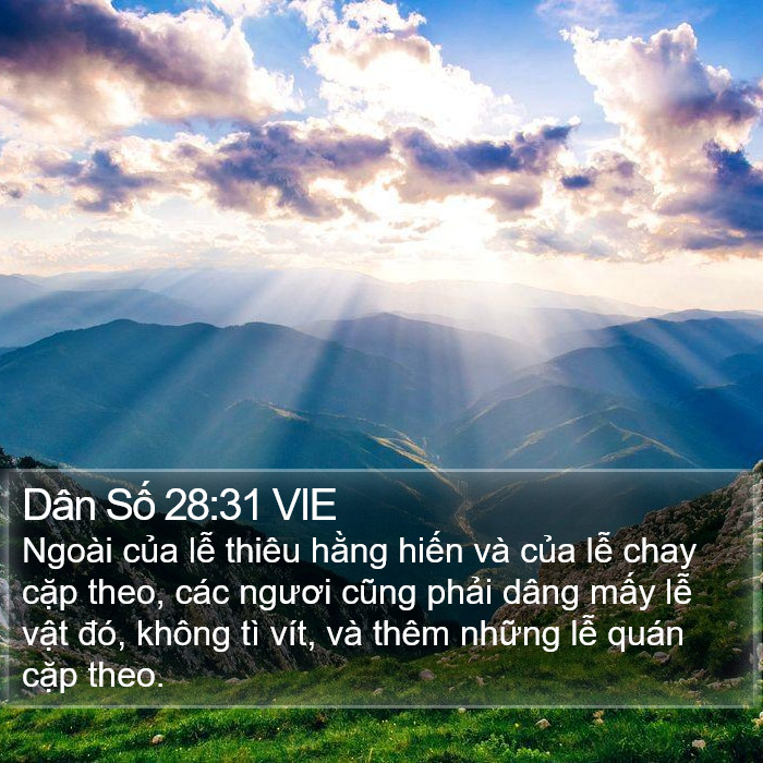 Dân Số 28:31 VIE Bible Study