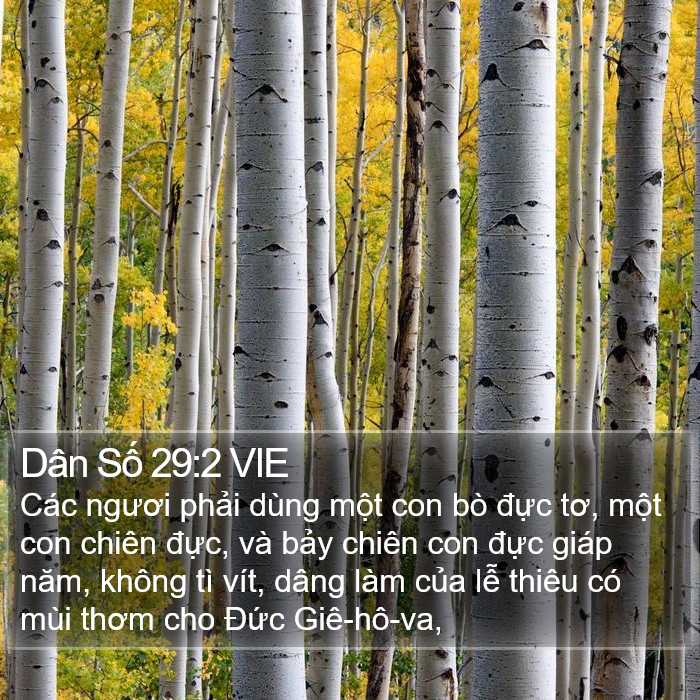 Dân Số 29:2 VIE Bible Study