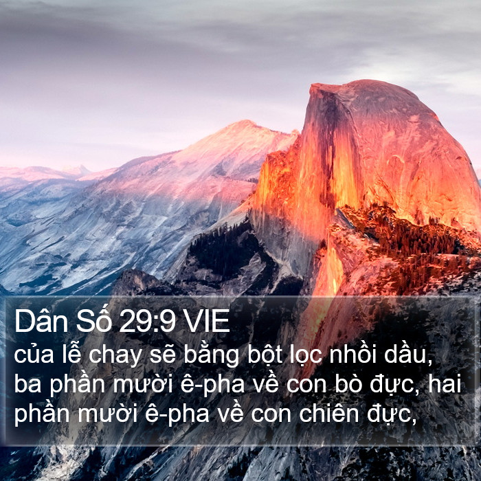 Dân Số 29:9 VIE Bible Study