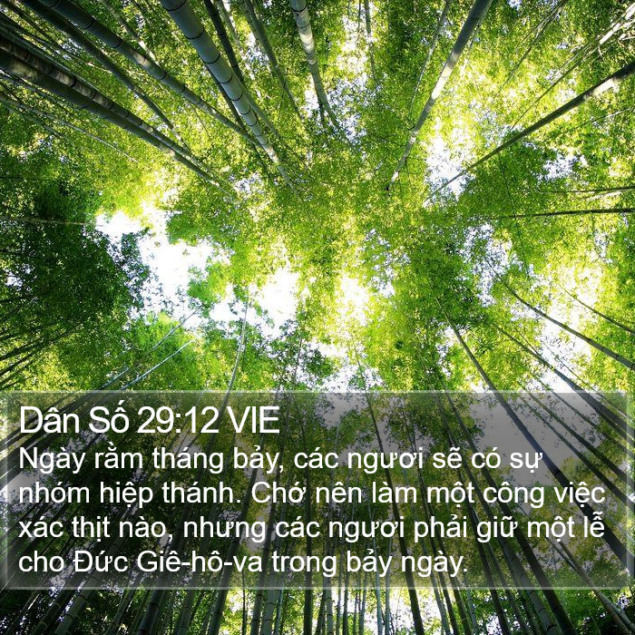 Dân Số 29:12 VIE Bible Study