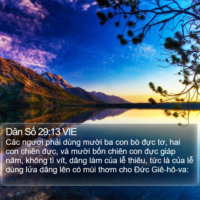 Dân Số 29:13 VIE Bible Study