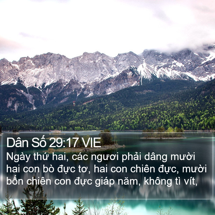 Dân Số 29:17 VIE Bible Study