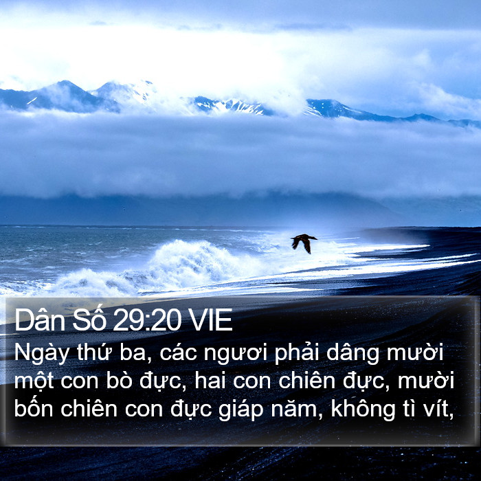 Dân Số 29:20 VIE Bible Study