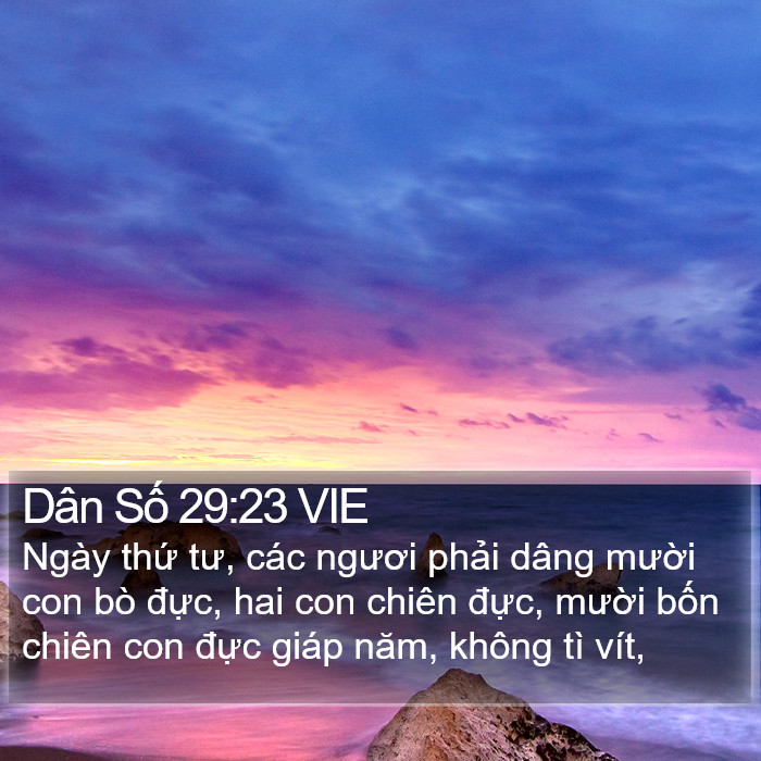 Dân Số 29:23 VIE Bible Study