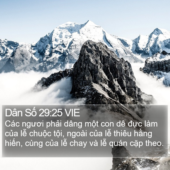 Dân Số 29:25 VIE Bible Study