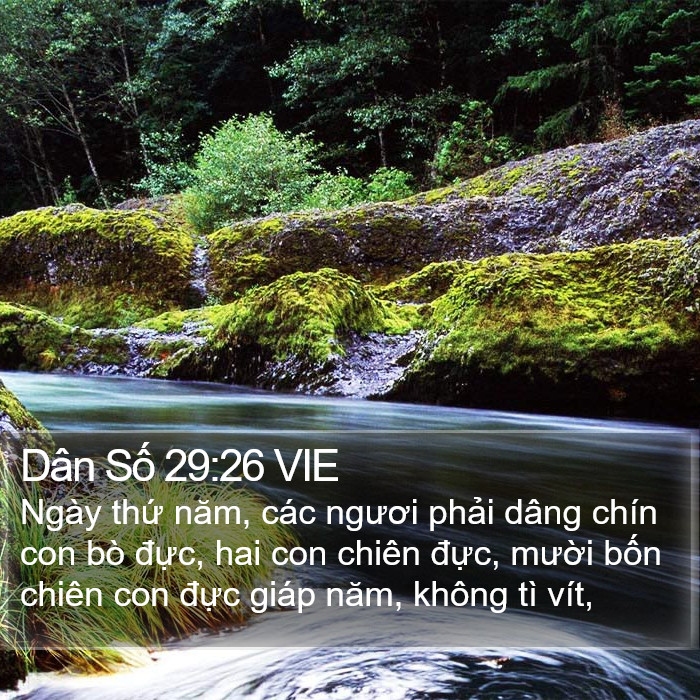 Dân Số 29:26 VIE Bible Study