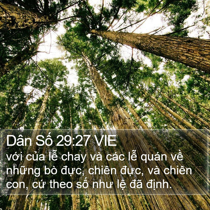 Dân Số 29:27 VIE Bible Study