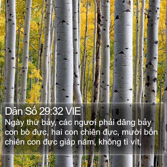 Dân Số 29:32 VIE Bible Study