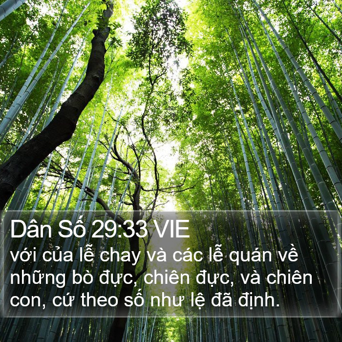 Dân Số 29:33 VIE Bible Study