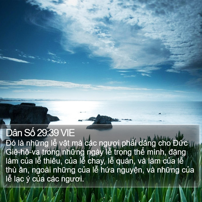 Dân Số 29:39 VIE Bible Study