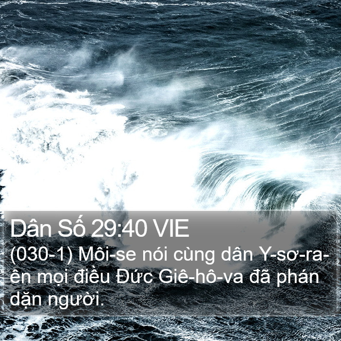 Dân Số 29:40 VIE Bible Study