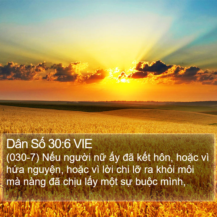 Dân Số 30:6 VIE Bible Study