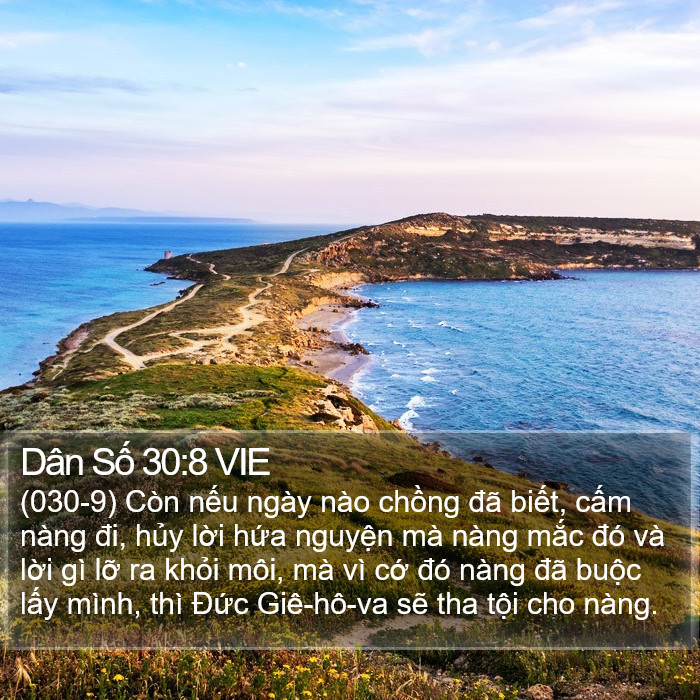 Dân Số 30:8 VIE Bible Study