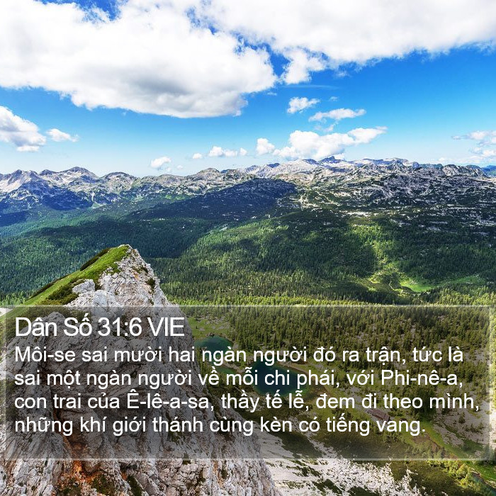 Dân Số 31:6 VIE Bible Study