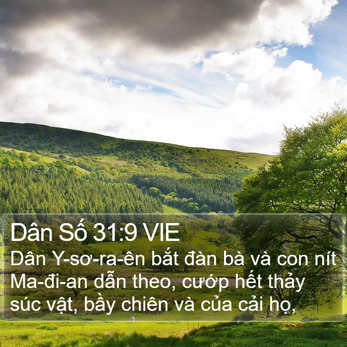 Dân Số 31:9 VIE Bible Study